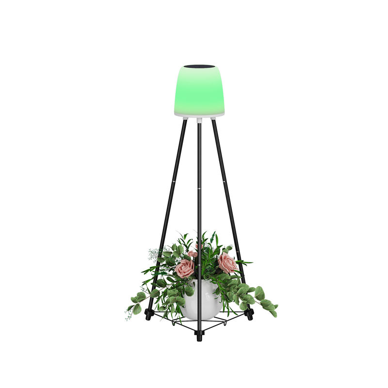 0.2W Güneş Noel Dekoratif Işıkları 0.3kg İç Kutu Boyutu 22*20*40.5CM G.W 1.9KG