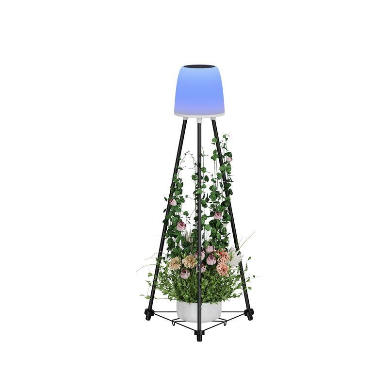 ABS/Demir LED Güneş Dekorasyon Işığı Dışarısı 22*20*40.5 CM İç Kutusu 1.9KG G.W